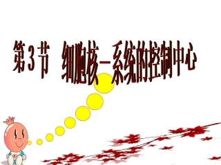 细胞核系统的控制中心