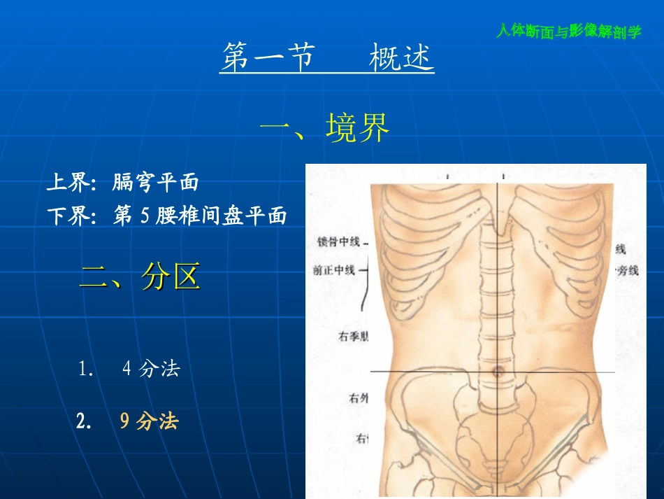 解剖学  腹部_第3页