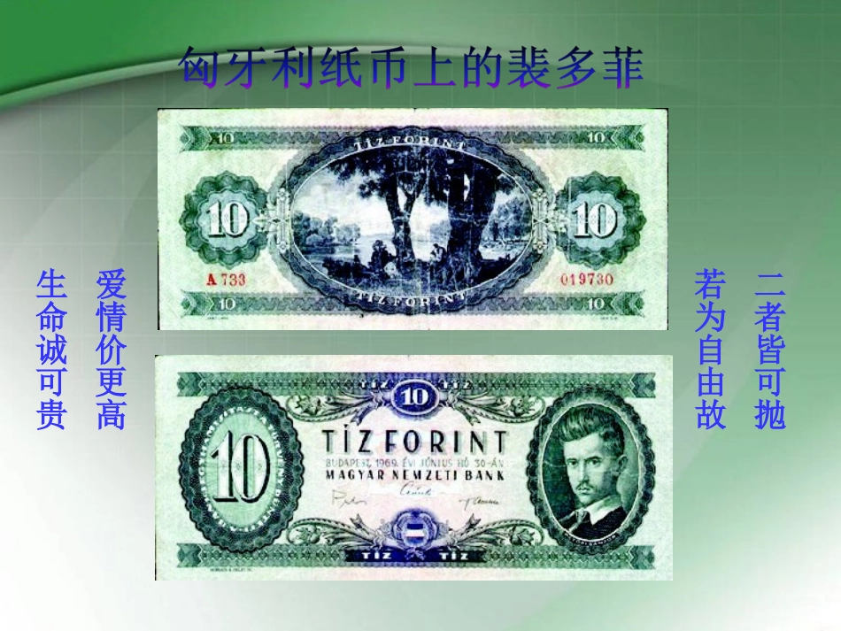 我愿意是急流PPT_第3页