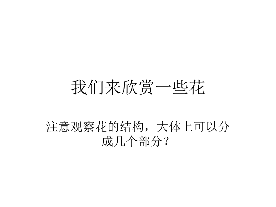 小学美术-立体纸条花_第2页