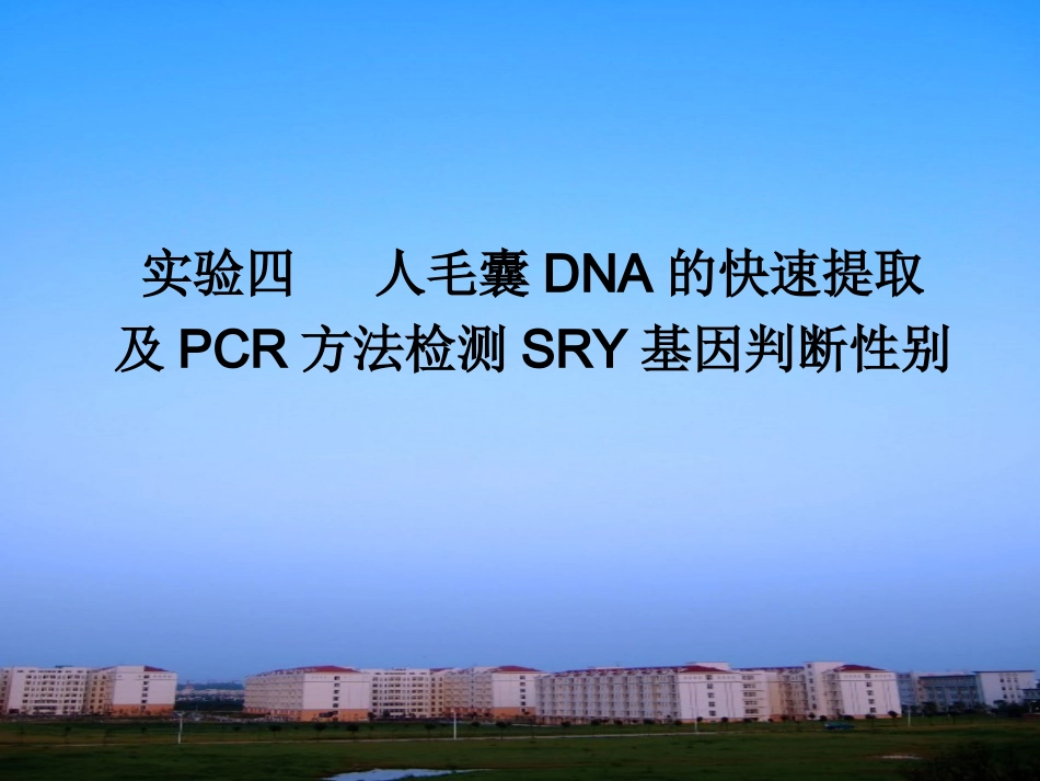 试验四_人毛囊DNA的快速提取及PCR检测性别M_第1页