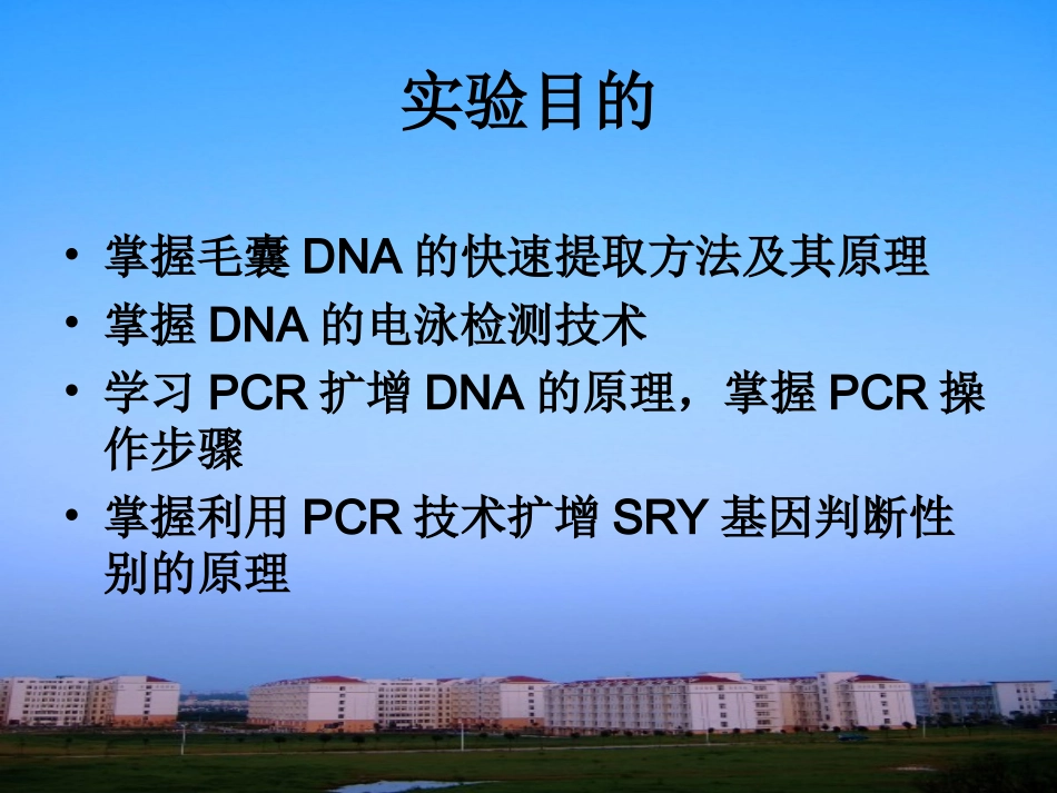 试验四_人毛囊DNA的快速提取及PCR检测性别M_第2页