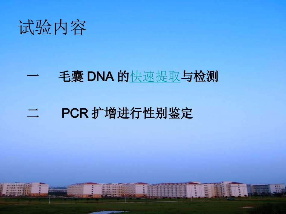 试验四_人毛囊DNA的快速提取及PCR检测性别M_第3页