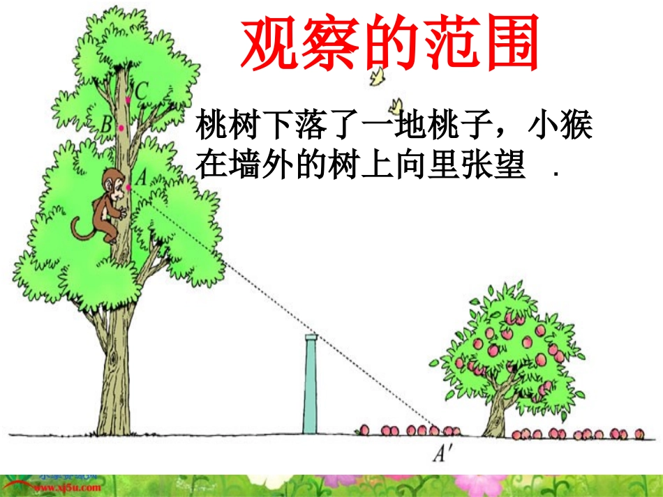 新北师大版六年级数学上册《观察的范围》课件_第3页