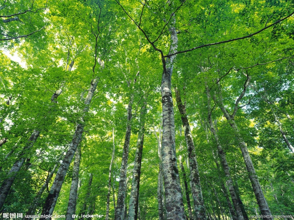 中班语言《家》_第3页