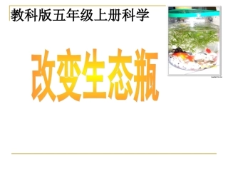 教科版科学五年级上册《改变生态瓶》PPT课件5