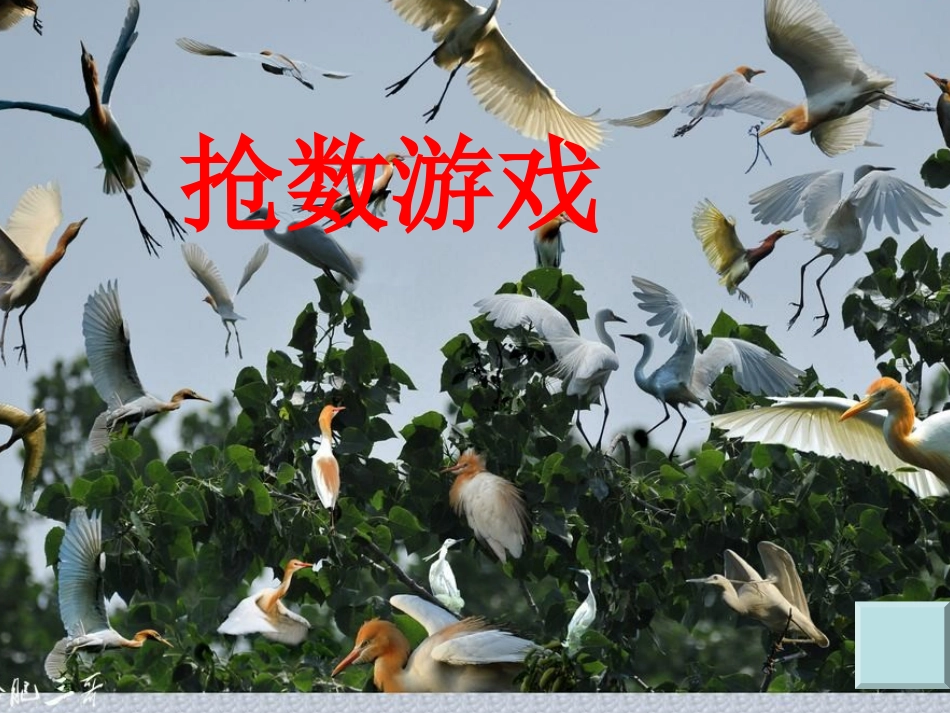 抢数3幻灯片_第1页
