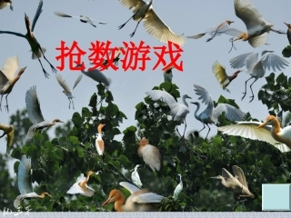抢数3幻灯片