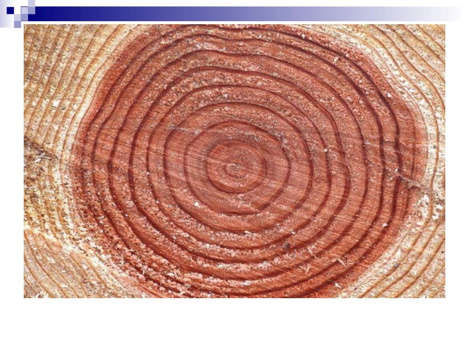 室内装饰材料课件ppt_第3页