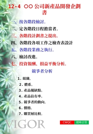公司新产品开发企划书.