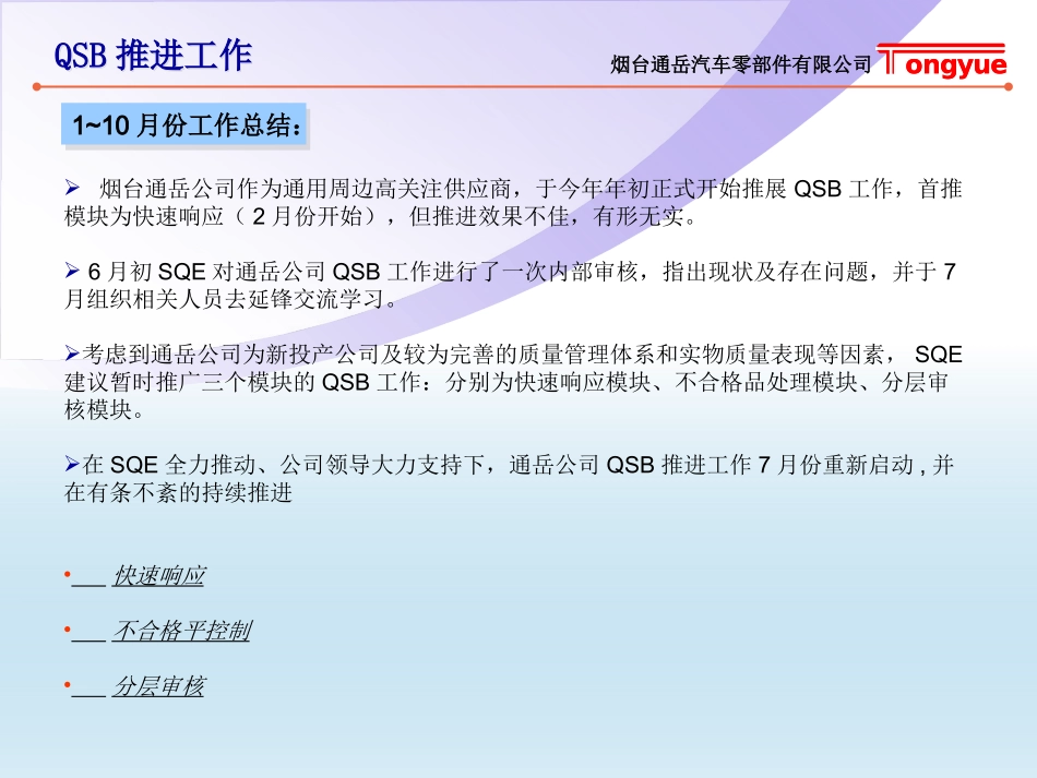 通岳QSB2010年总结_第3页