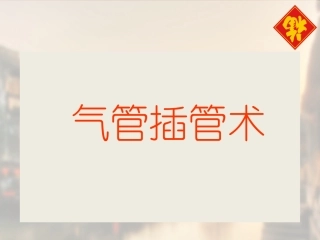 气管插管术 课件