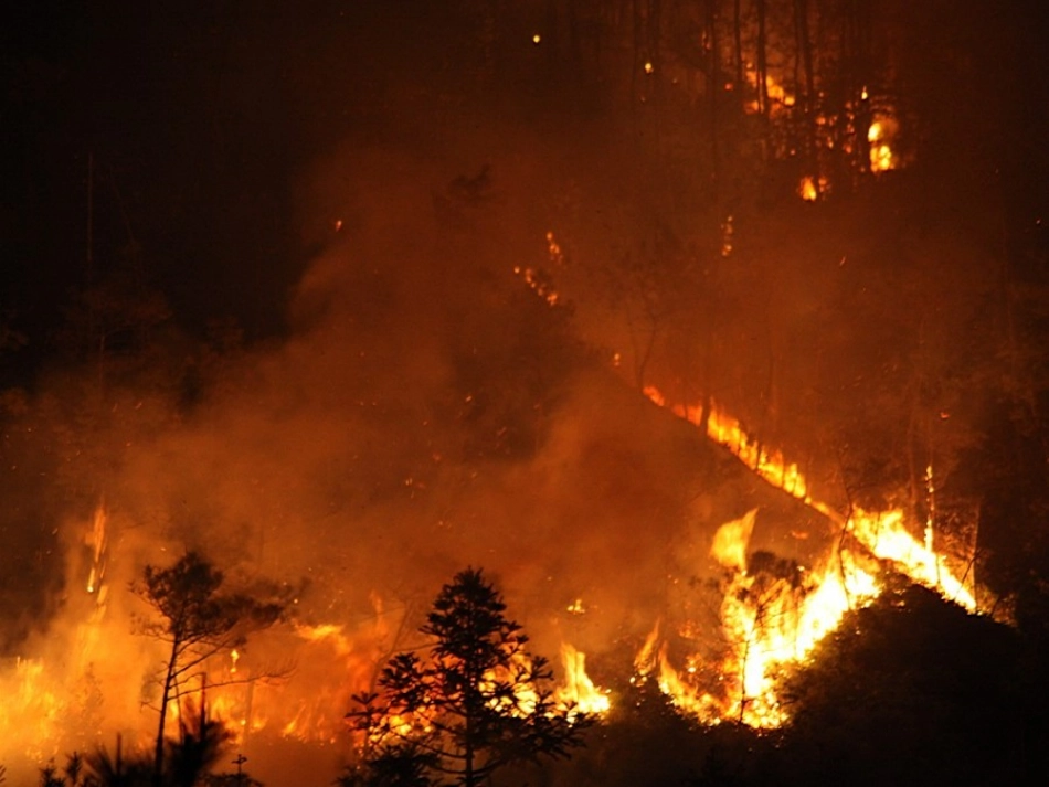 森林防火班会课件_第3页