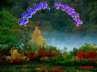 森林防火班会课件