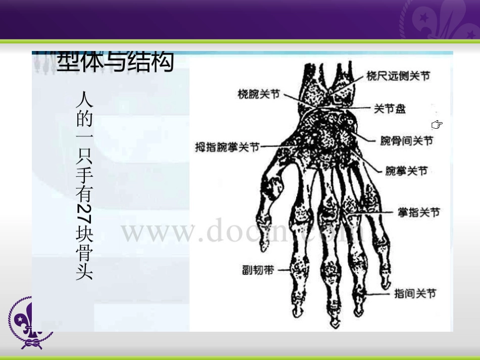 速写手和脚的画法_第3页