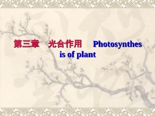 植物生理学 光合作用