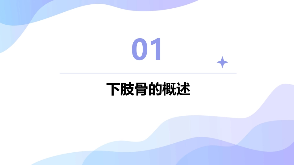 人体解剖学之下肢骨护理课件_第3页