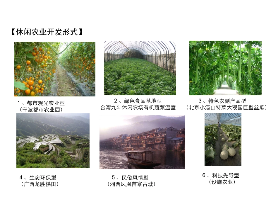 乡村休闲农业_第2页