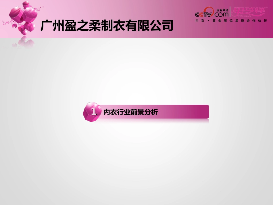 伊芝伴内衣加盟招商手册_第3页