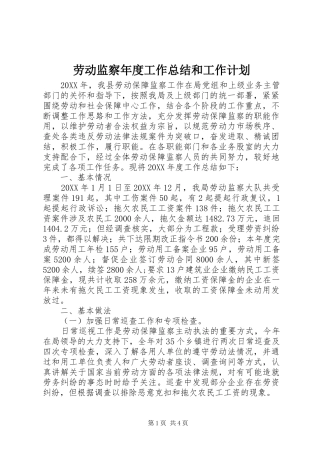 劳动监察年度工作总结和工作计划 