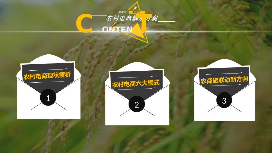 新商业新模式-农村电商解决方案_第2页