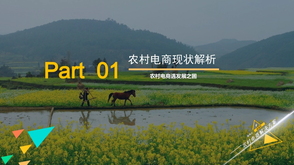 新商业新模式-农村电商解决方案_第3页