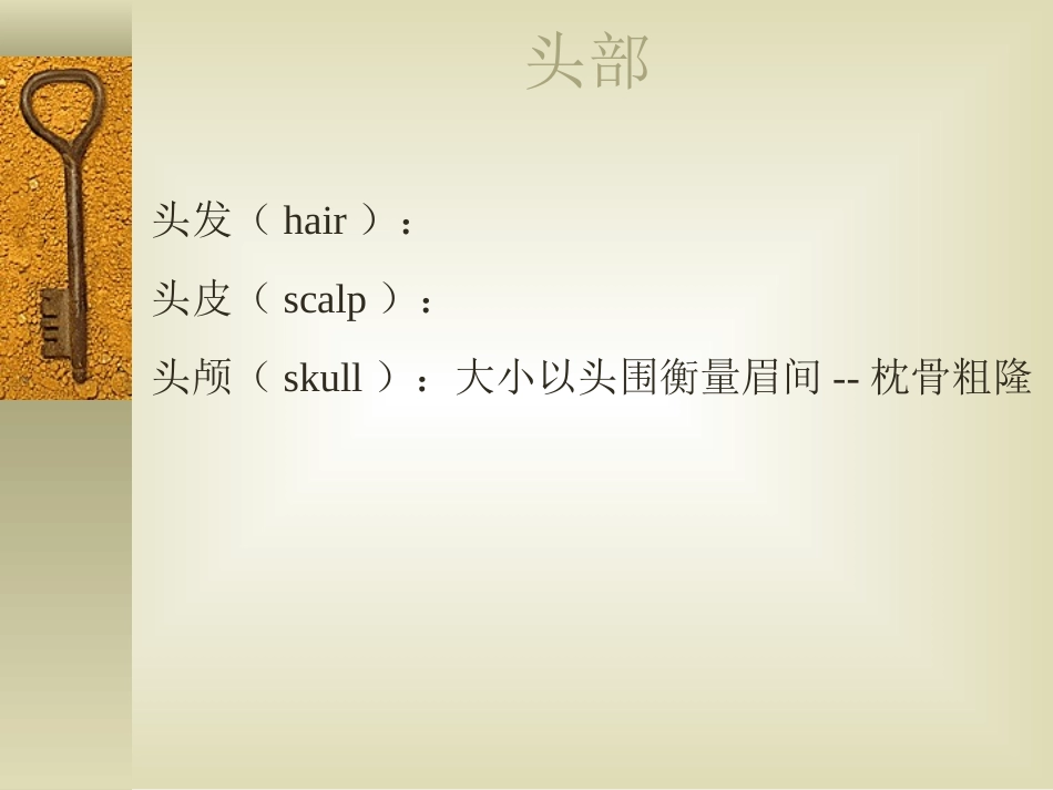 诊断学-头颈部 检查_第2页