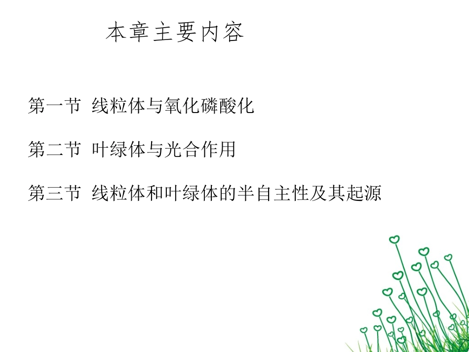 细胞生物学 线粒体和叶绿体_第2页
