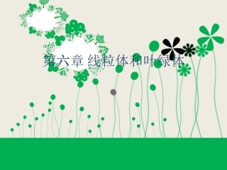 细胞生物学 线粒体和叶绿体