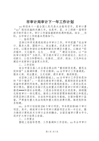 市审计局审计下一年工作计划 