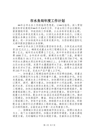 市水务局年度工作计划 