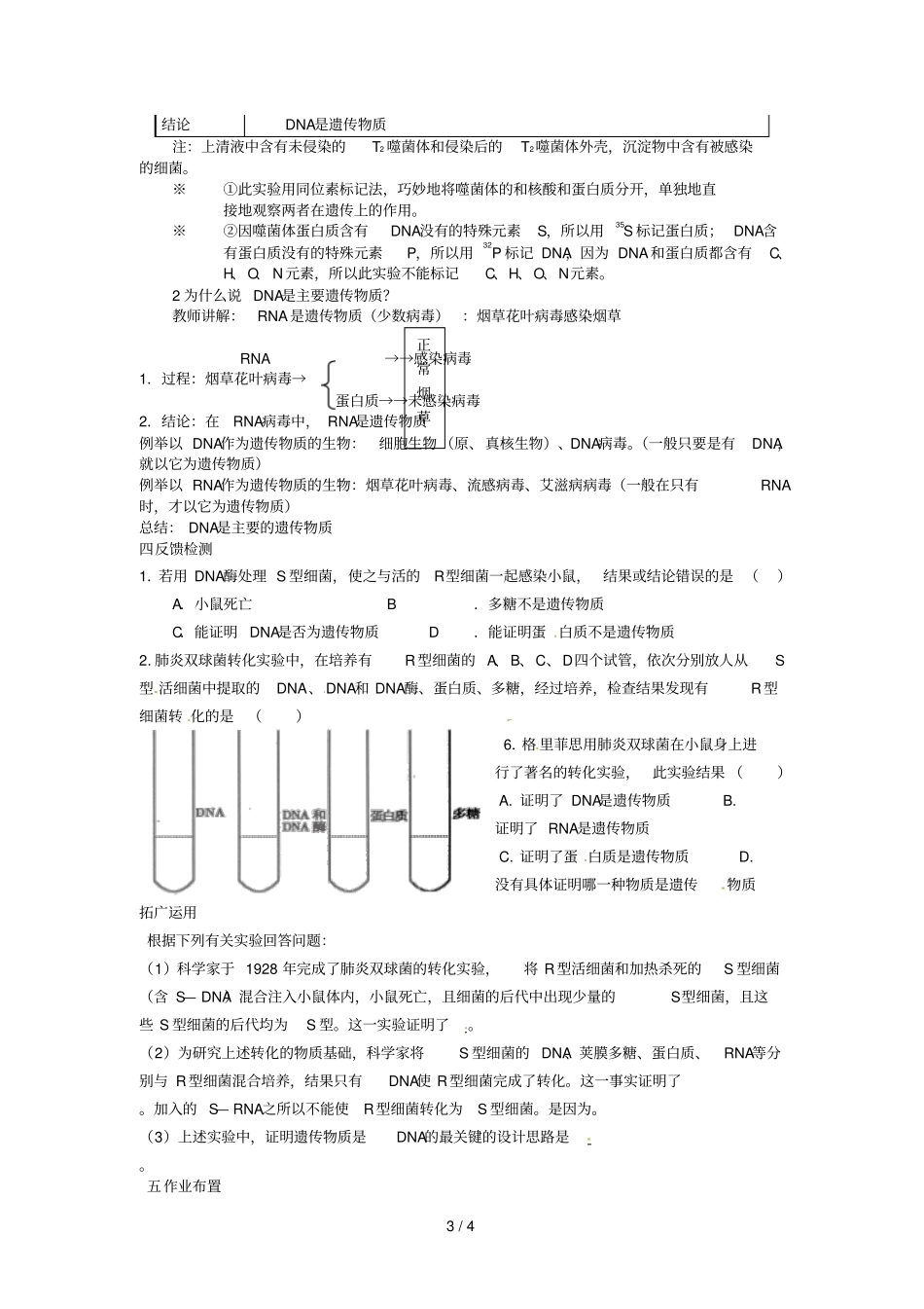 人教高中生物导学案：DNA是主要的遗传物质_第3页