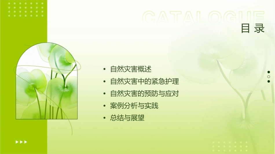 人卫版急诊与灾难医学之自然灾害教学护理课件1_第2页