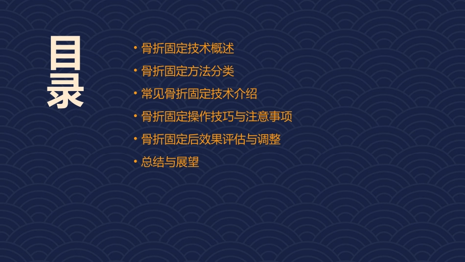 骨外科之骨折固定技术_第2页