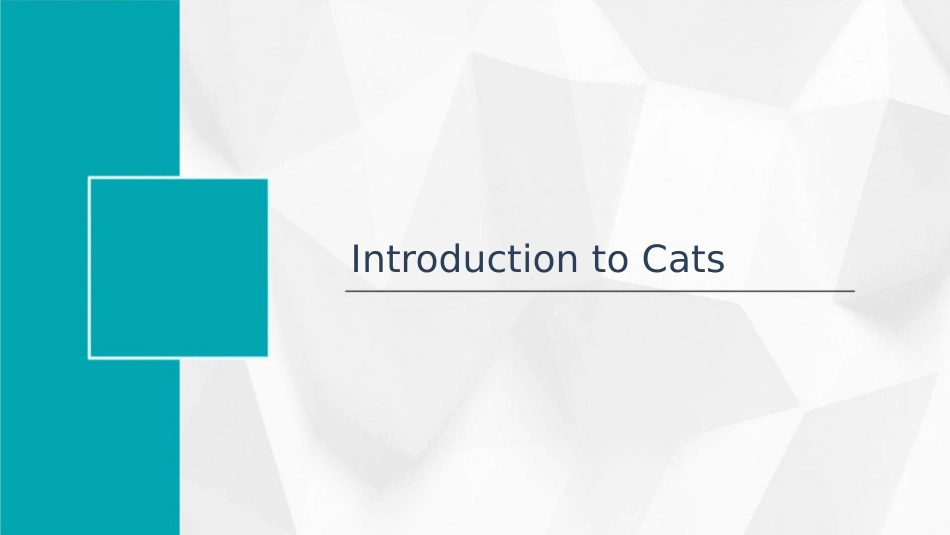 介绍猫的英文课件1_第3页