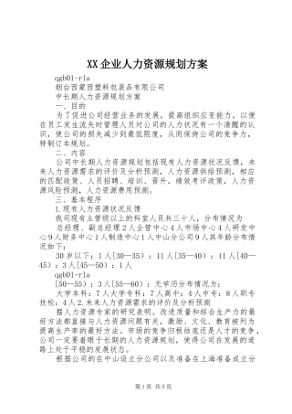 XX企业人力资源规划方案 