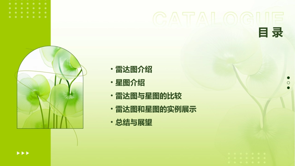 雷达图和星图讲解课件_第2页