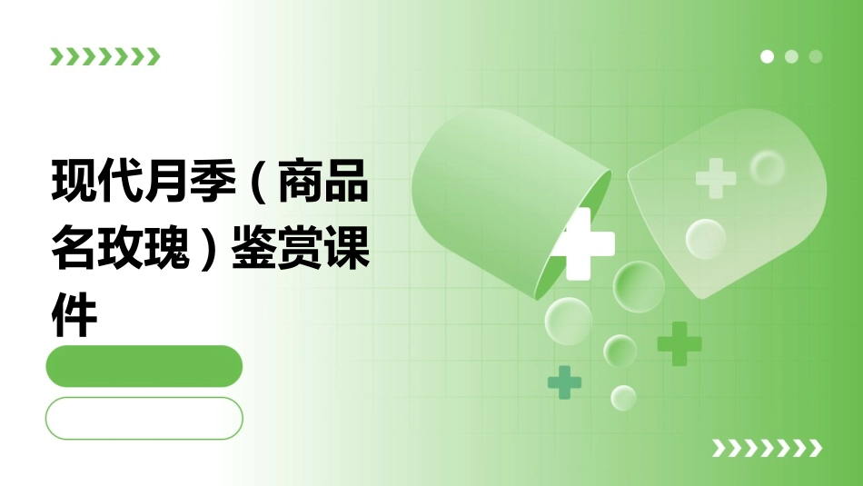 现代月季(商品名玫瑰)鉴赏课件_第1页