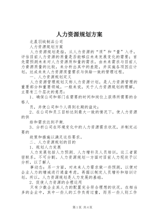 人力资源规划方案 