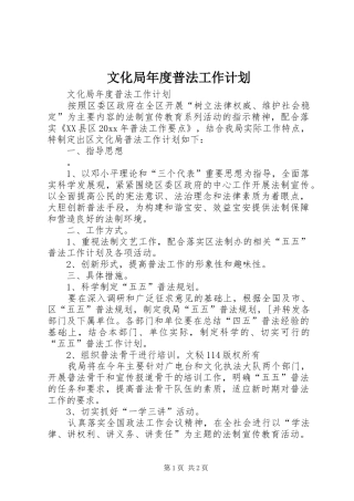 文化局年度普法工作计划 