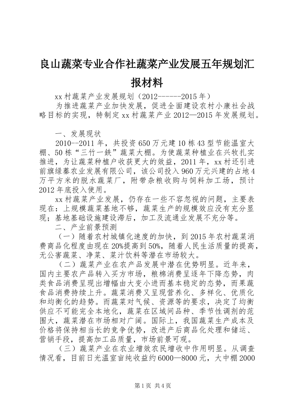 良山蔬菜专业合作社蔬菜产业发展五年规划汇报材料 _第1页