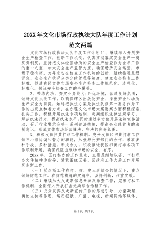 20XX年文化市场行政执法大队年度工作计划范文两篇