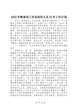 20XX年粮食局工作总结范文及XX年工作计划 