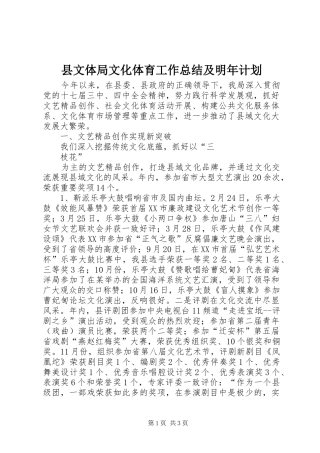 县文体局文化体育工作总结及明年计划 