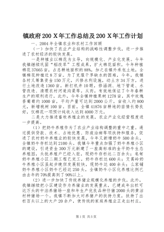 镇政府200Ｘ年工作总结及200Ｘ年工作计划
