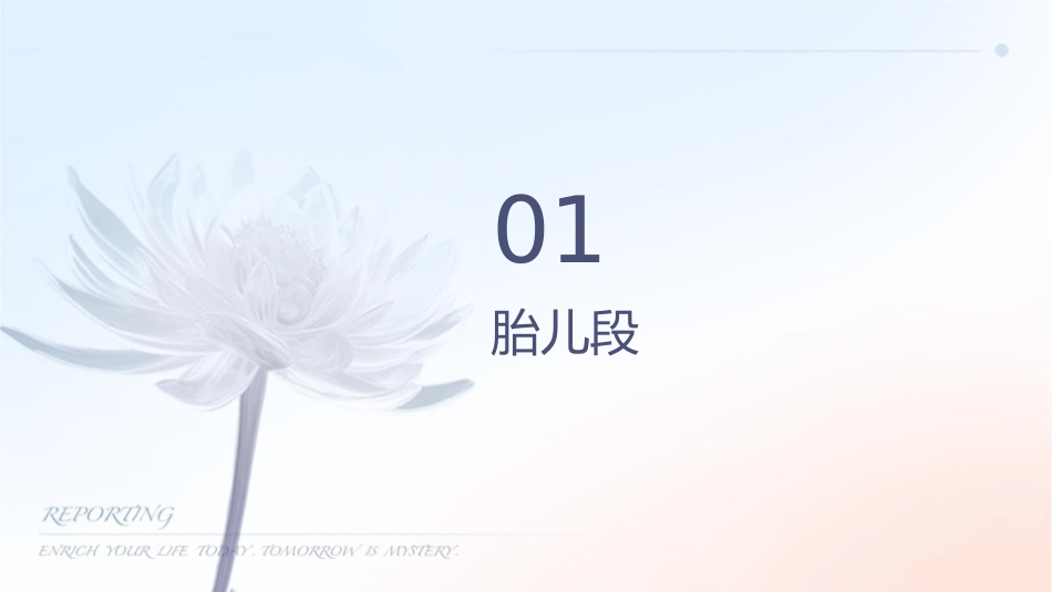 人体各个阶段的生理特点课件1_第3页