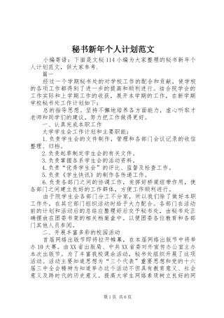 秘书新年个人计划范文 