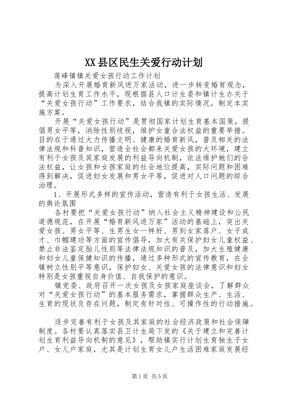 XX县区民生关爱行动计划 _第1页
