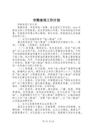 市粮食局工作计划 