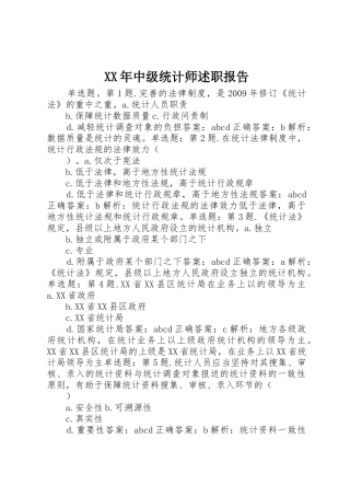 XX年中级统计师述职报告